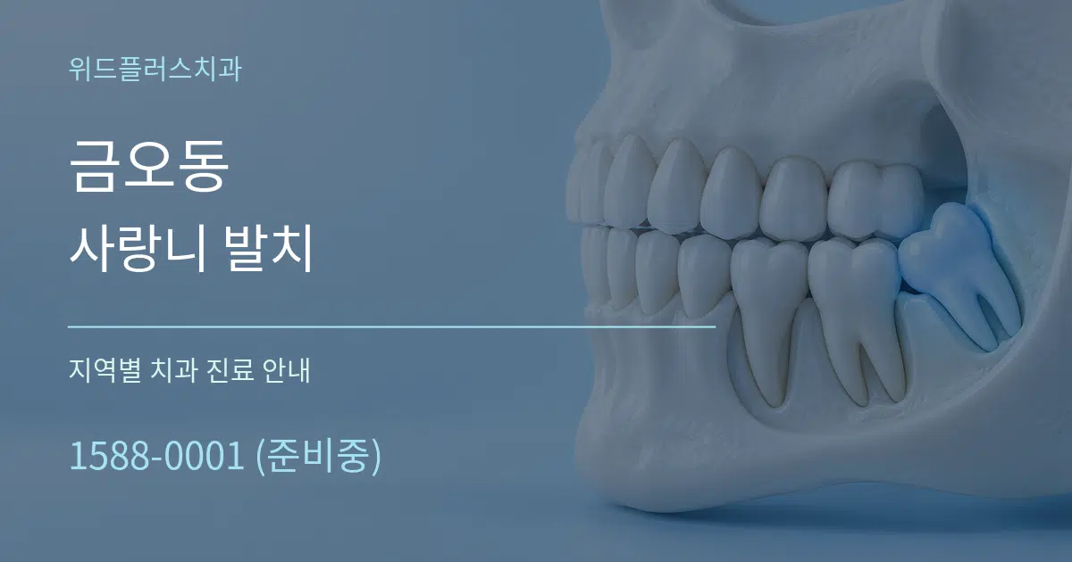 금오동 사랑니 발치 대표 안내 그래픽
