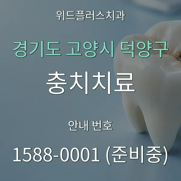 경기도 고양시 덕양구 충치치료 대표 안내 그래픽