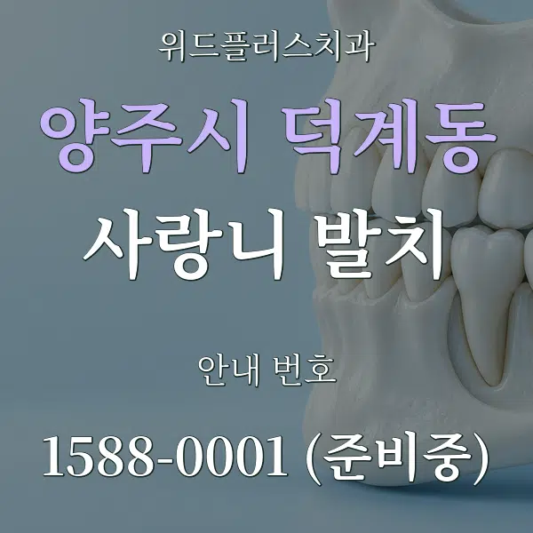양주시 덕계동 사랑니 발치 대표 안내 그래픽