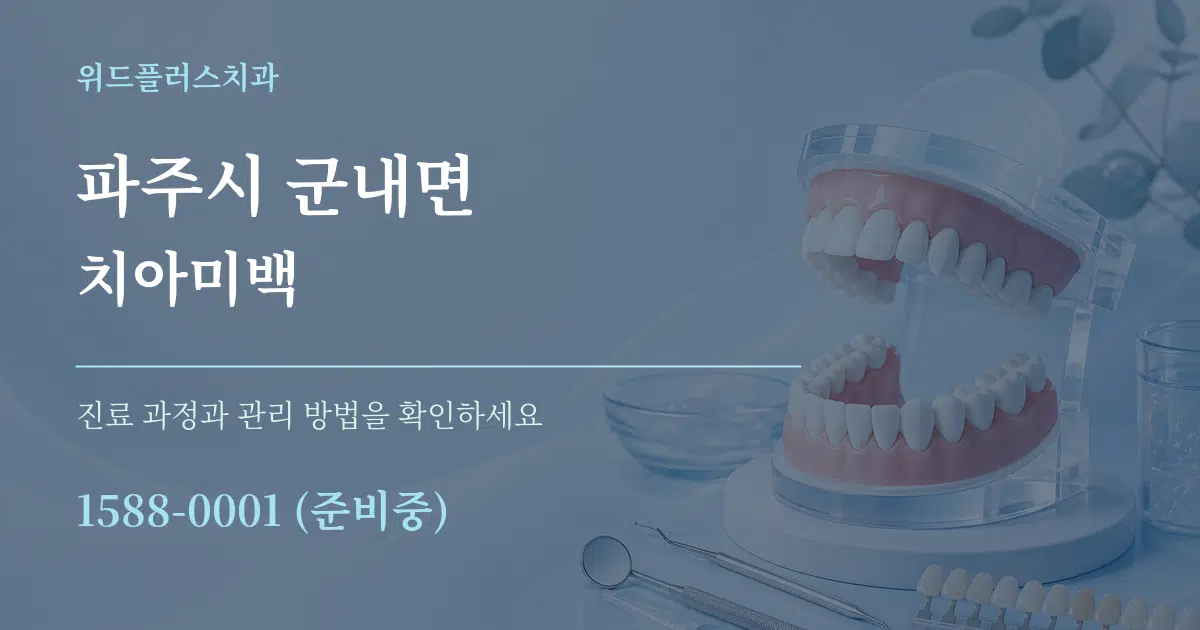 파주시 군내면 치아미백 서비스 이용 안내 그래픽