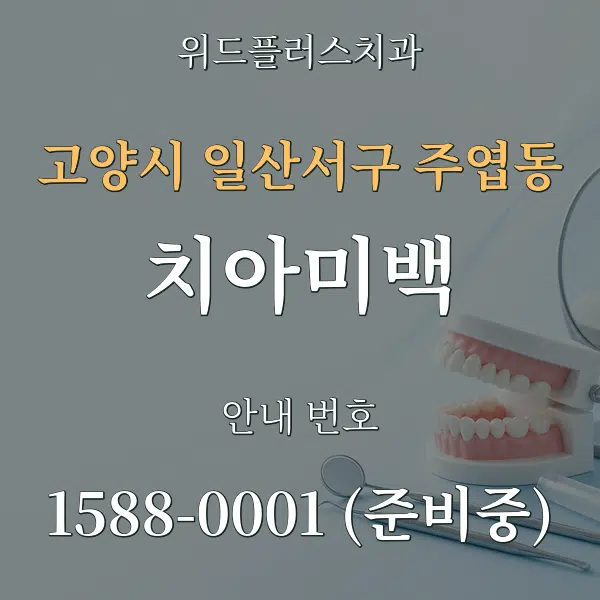 고양시 일산서구 주엽동 치아미백 대표 안내 그래픽