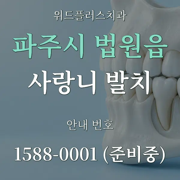 파주시 법원읍 사랑니 발치 대표 안내 그래픽