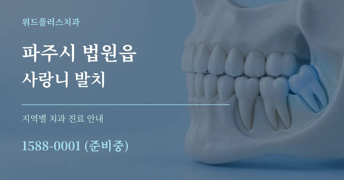 파주시 법원읍 사랑니 발치 대표 안내 그래픽