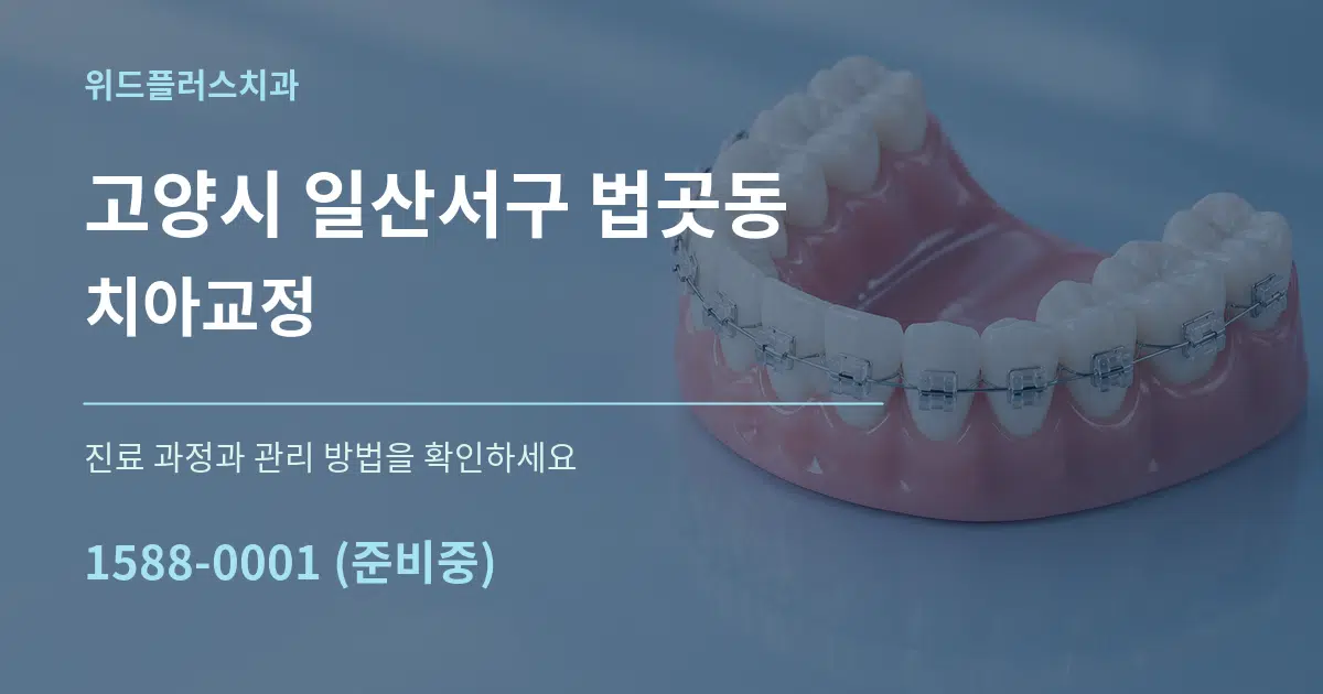 고양시 일산서구 법곳동 치아교정 작업 조건 안내 그래픽
