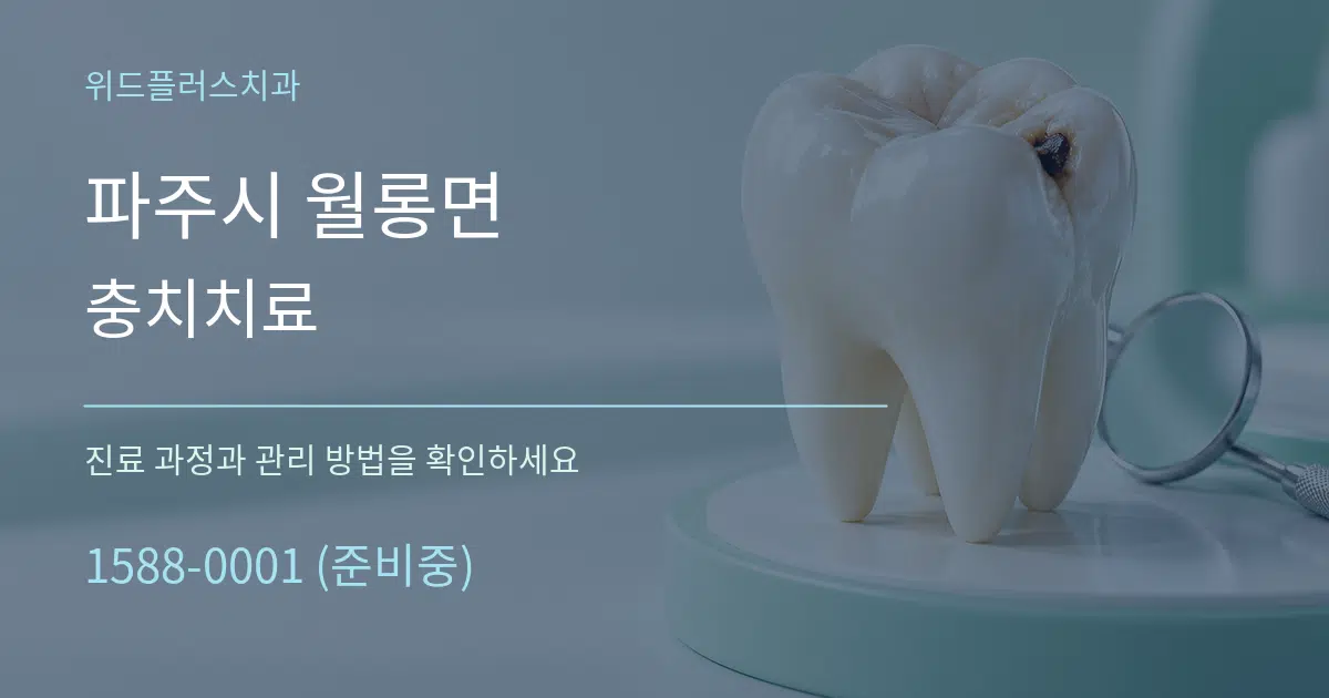 파주시 월롱면 충치치료 서비스 이용 안내 그래픽