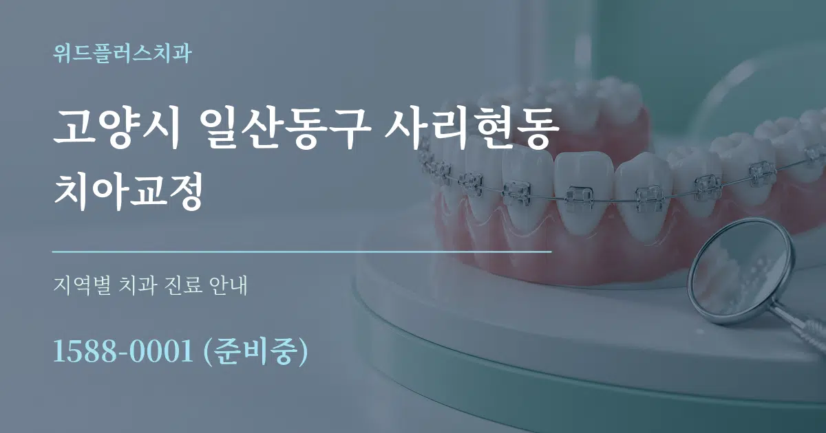 고양시 일산동구 사리현동 치아교정 대표 안내 그래픽