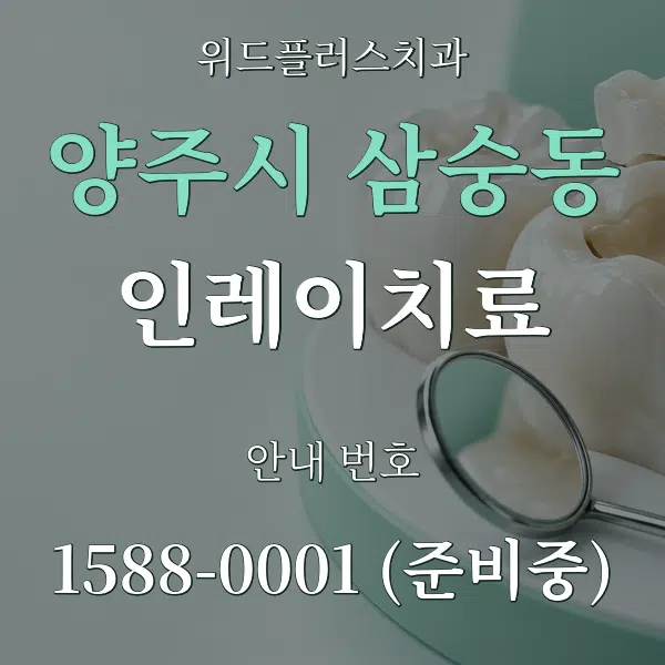 양주시 삼숭동 인레이치료 대표 안내 그래픽