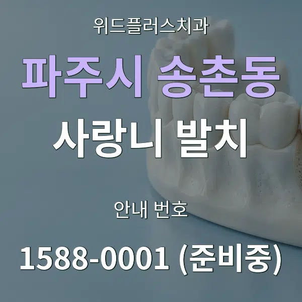 파주시 송촌동 사랑니 발치 대표 안내 그래픽