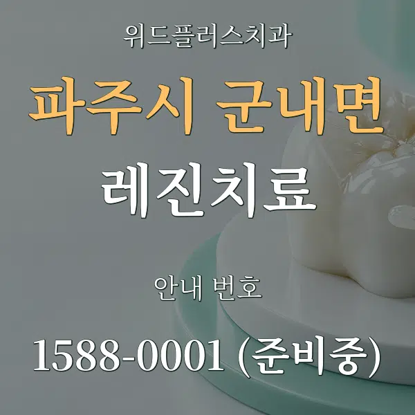 파주시 군내면 레진치료 대표 안내 그래픽