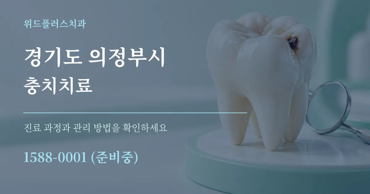 경기도 의정부시 충치치료 서비스 이용 안내 그래픽
