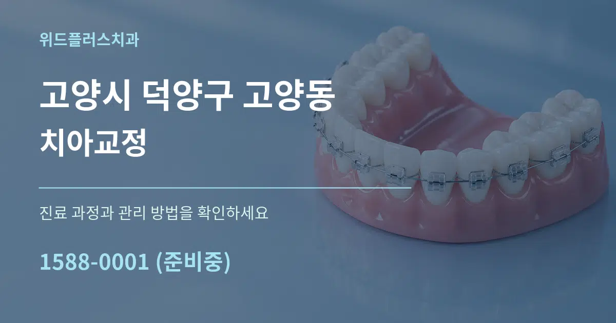 고양시 덕양구 고양동 치아교정 서비스 이용 안내 그래픽