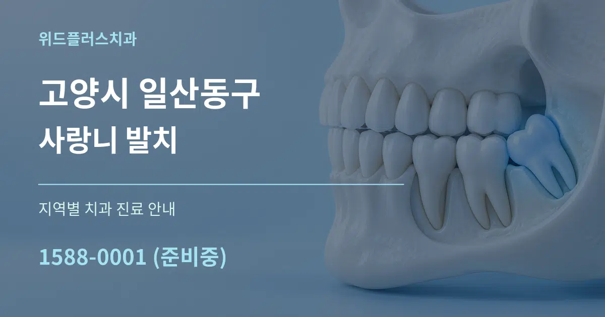 고양시 일산동구 사랑니 발치 대표 안내 그래픽