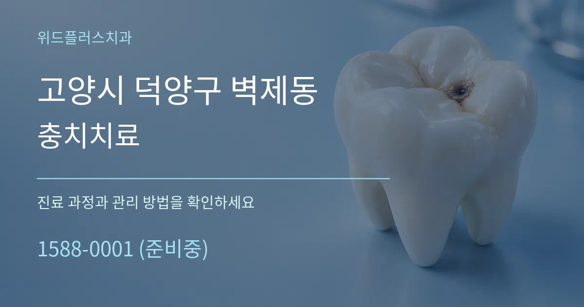 고양시 덕양구 벽제동 충치치료 작업 조건 안내 그래픽
