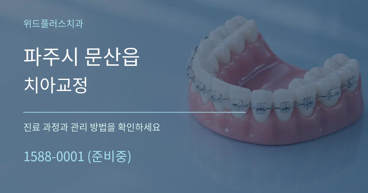파주시 문산읍 치아교정 작업 조건 안내 그래픽