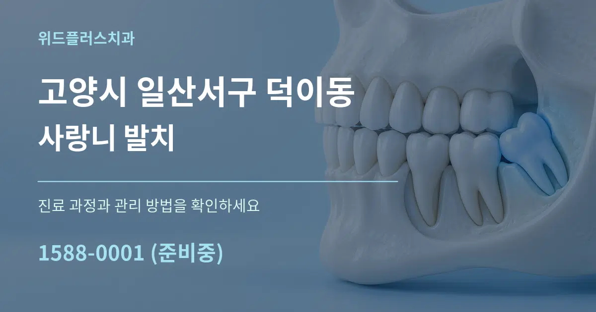 고양시 일산서구 덕이동 사랑니 발치 서비스 이용 안내 그래픽