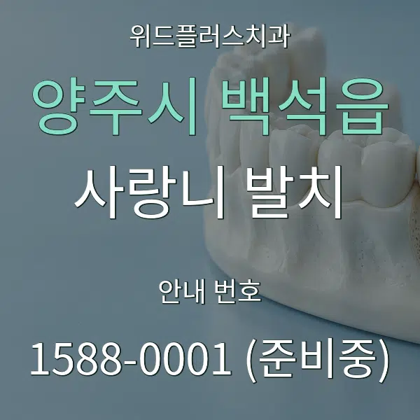 양주시 백석읍 사랑니 발치 대표 안내 그래픽
