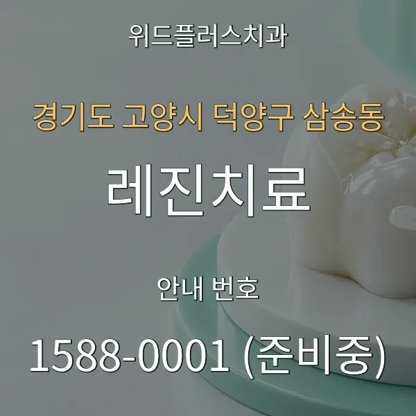 경기도 고양시 덕양구 삼송동 레진치료 대표 안내 그래픽