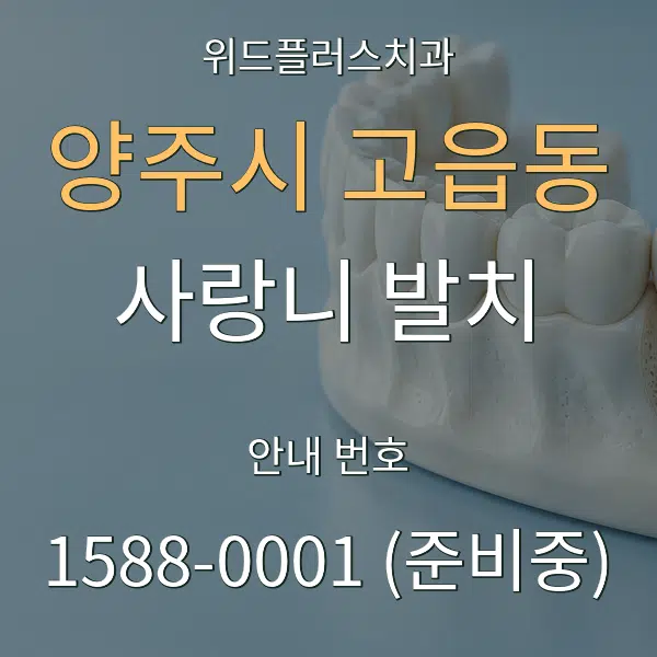 양주시 고읍동 사랑니 발치 대표 안내 그래픽