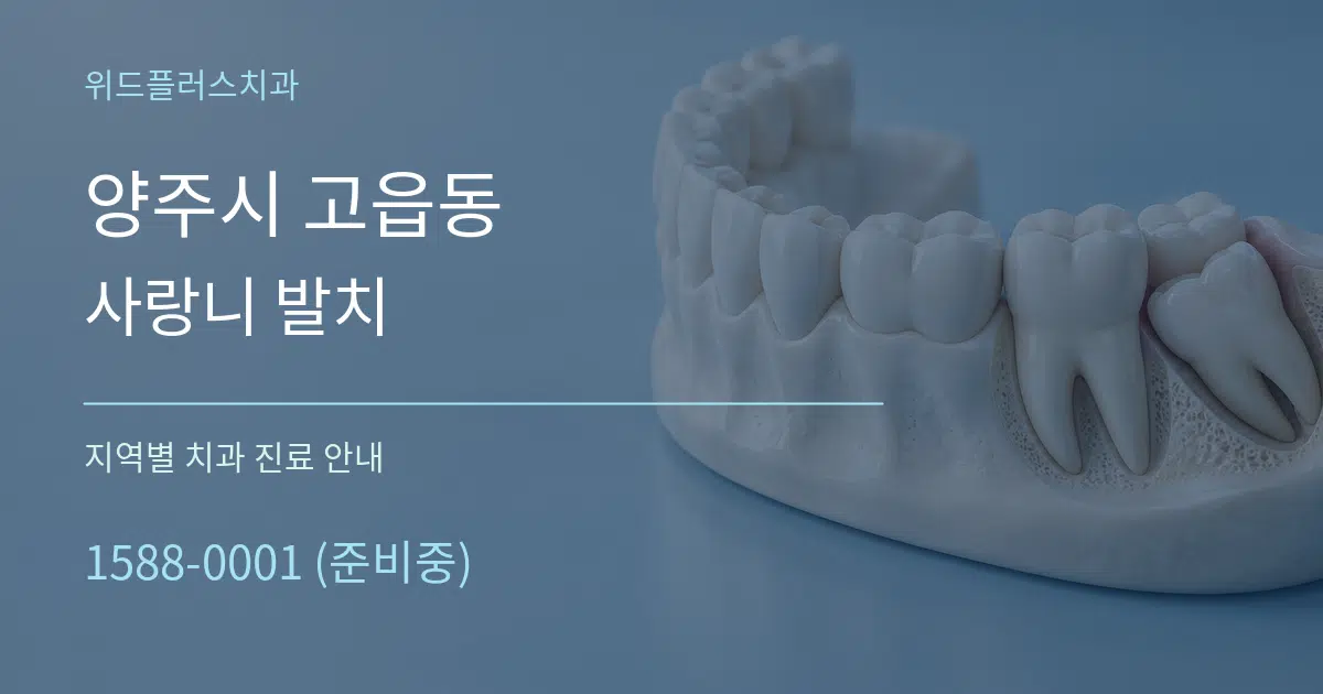 양주시 고읍동 사랑니 발치 대표 안내 그래픽