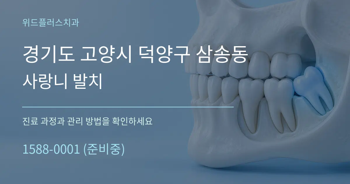 경기도 고양시 덕양구 삼송동 사랑니 발치 서비스 이용 안내 그래픽