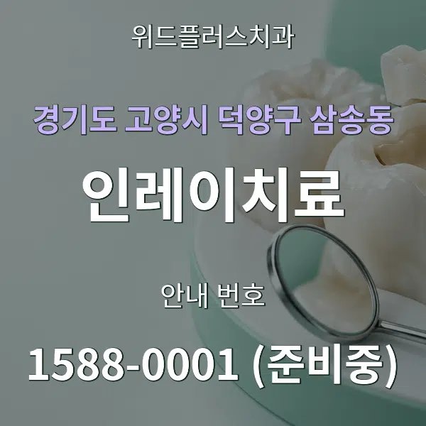 경기도 고양시 덕양구 삼송동 인레이치료 대표 안내 그래픽