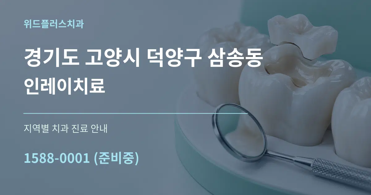 경기도 고양시 덕양구 삼송동 인레이치료 대표 안내 그래픽
