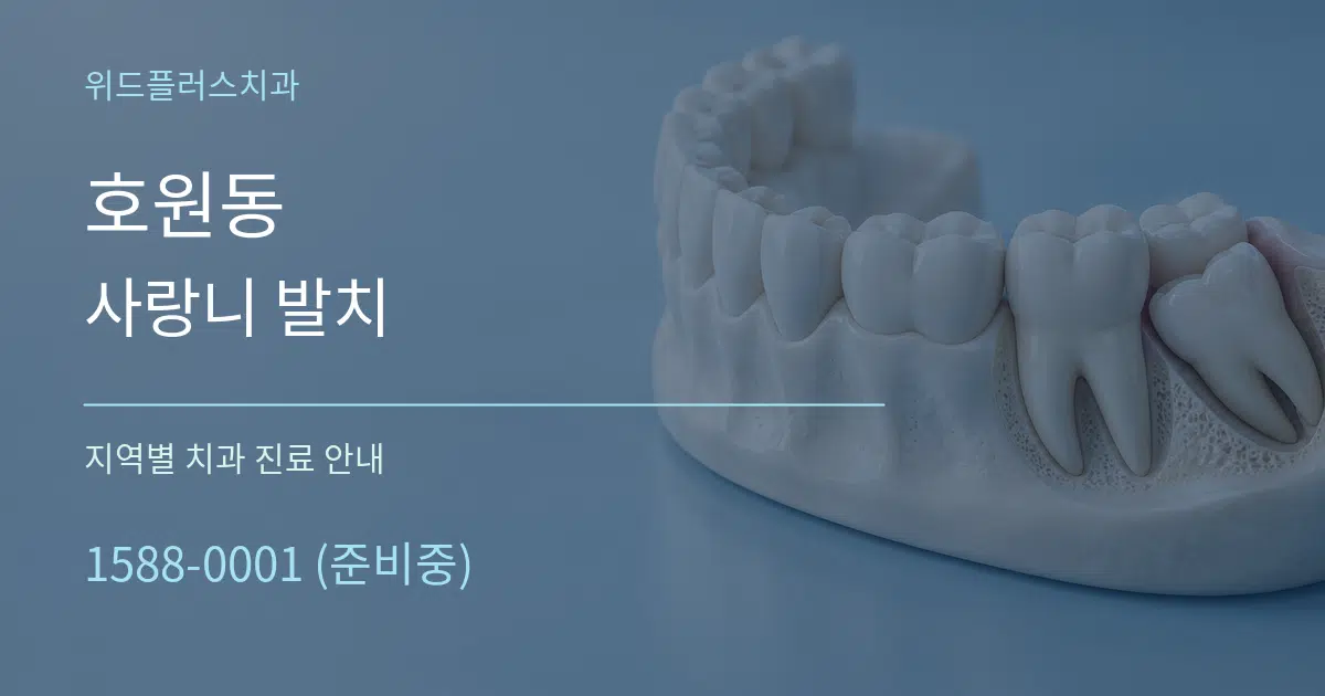 호원동 사랑니 발치 대표 안내 그래픽