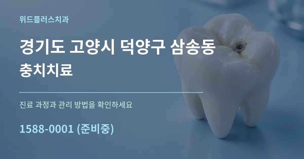 경기도 고양시 덕양구 삼송동 충치치료 작업 조건 안내 그래픽