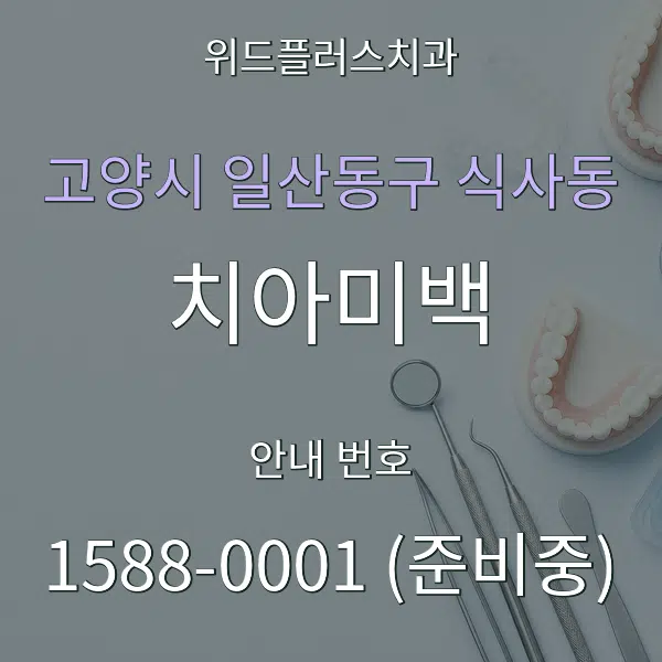 고양시 일산동구 식사동 치아미백 대표 안내 그래픽