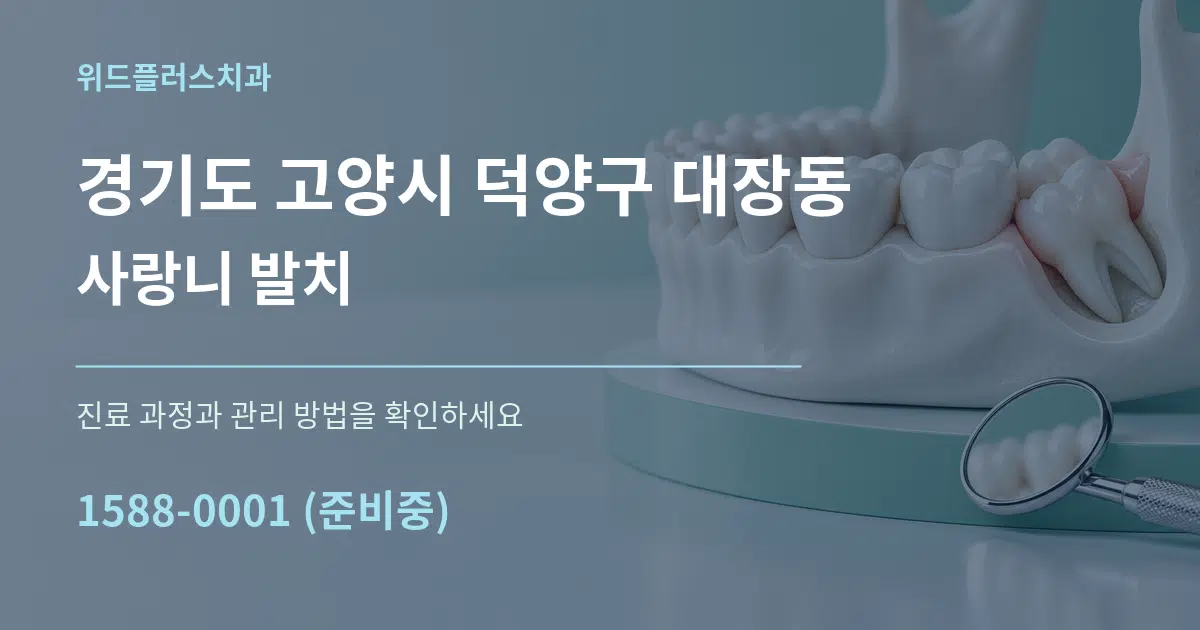경기도 고양시 덕양구 대장동 사랑니 발치 작업 조건 안내 그래픽