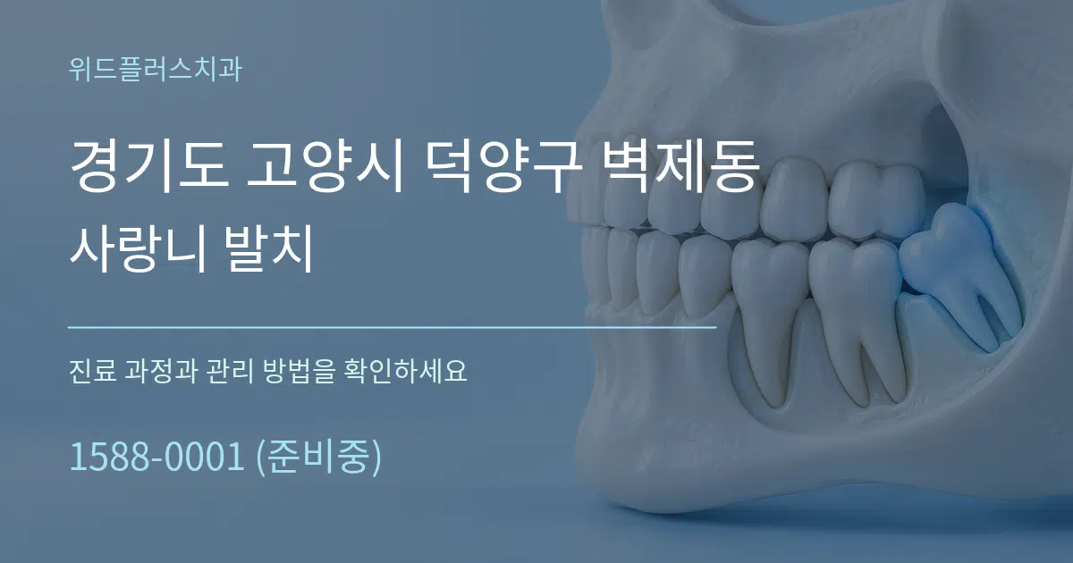 경기도 고양시 덕양구 벽제동 사랑니 발치 서비스 이용 안내 그래픽