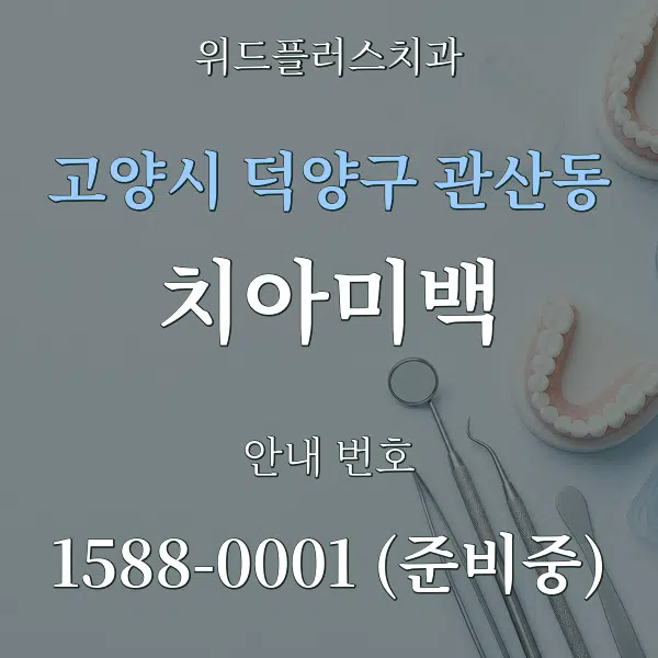고양시 덕양구 관산동 치아미백 대표 안내 그래픽