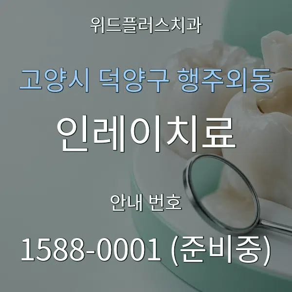 고양시 덕양구 행주외동 인레이치료 대표 안내 그래픽