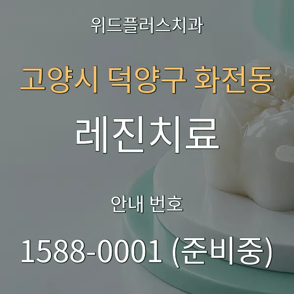 고양시 덕양구 화전동 레진치료 대표 안내 그래픽