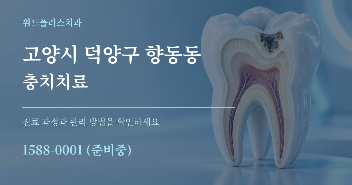 고양시 덕양구 향동동 충치치료 서비스 이용 안내 그래픽