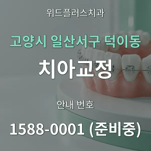 고양시 일산서구 덕이동 치아교정 대표 안내 그래픽