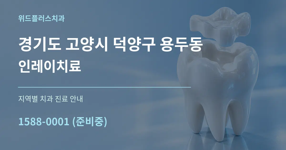 경기도 고양시 덕양구 용두동 인레이치료 대표 안내 그래픽