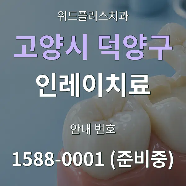 고양시 덕양구 인레이치료 대표 안내 그래픽