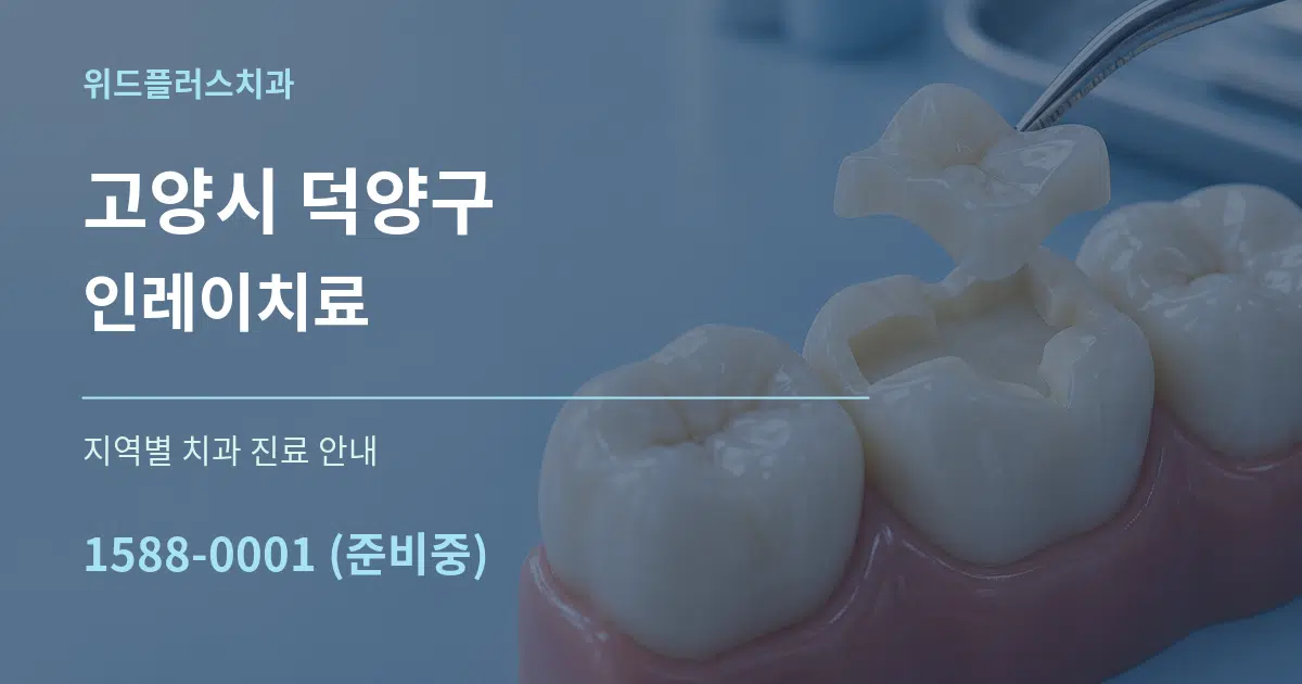 고양시 덕양구 인레이치료 대표 안내 그래픽