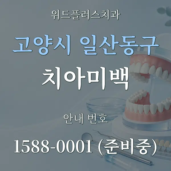 고양시 일산동구 치아미백 대표 안내 그래픽