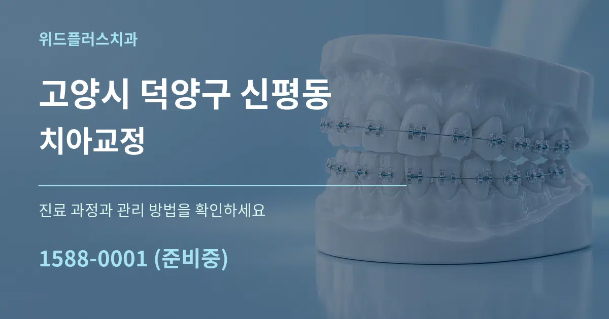 고양시 덕양구 신평동 치아교정 작업 조건 안내 그래픽