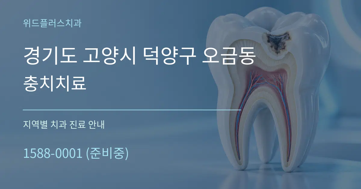 경기도 고양시 덕양구 오금동 충치치료 대표 안내 그래픽