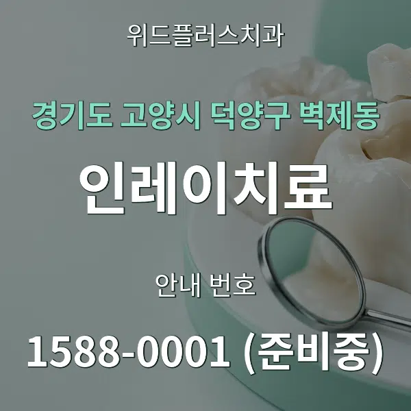경기도 고양시 덕양구 벽제동 인레이치료 대표 안내 그래픽