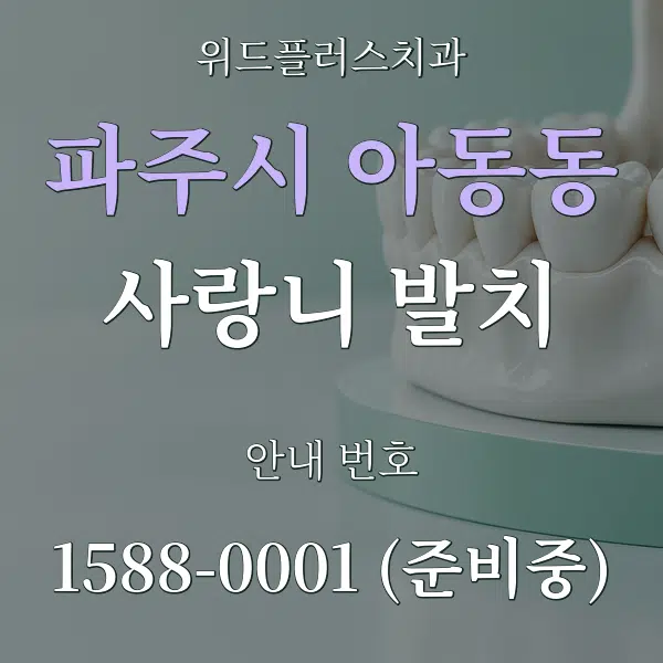 파주시 아동동 사랑니 발치 대표 안내 그래픽