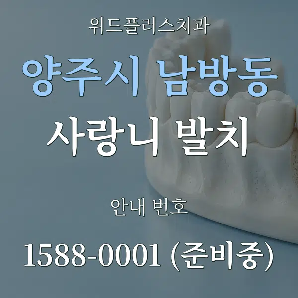 양주시 남방동 사랑니 발치 대표 안내 그래픽