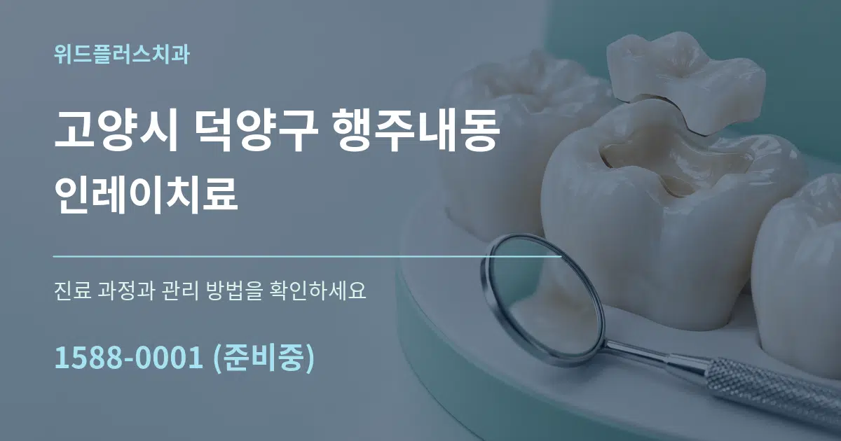 고양시 덕양구 행주내동 인레이치료 작업 조건 안내 그래픽