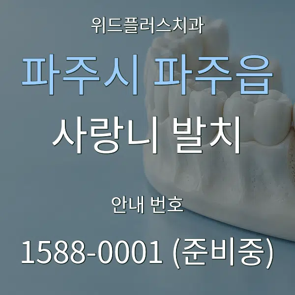 파주시 파주읍 사랑니 발치 대표 안내 그래픽