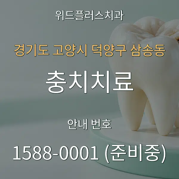 경기도 고양시 덕양구 삼송동 충치치료 대표 안내 그래픽