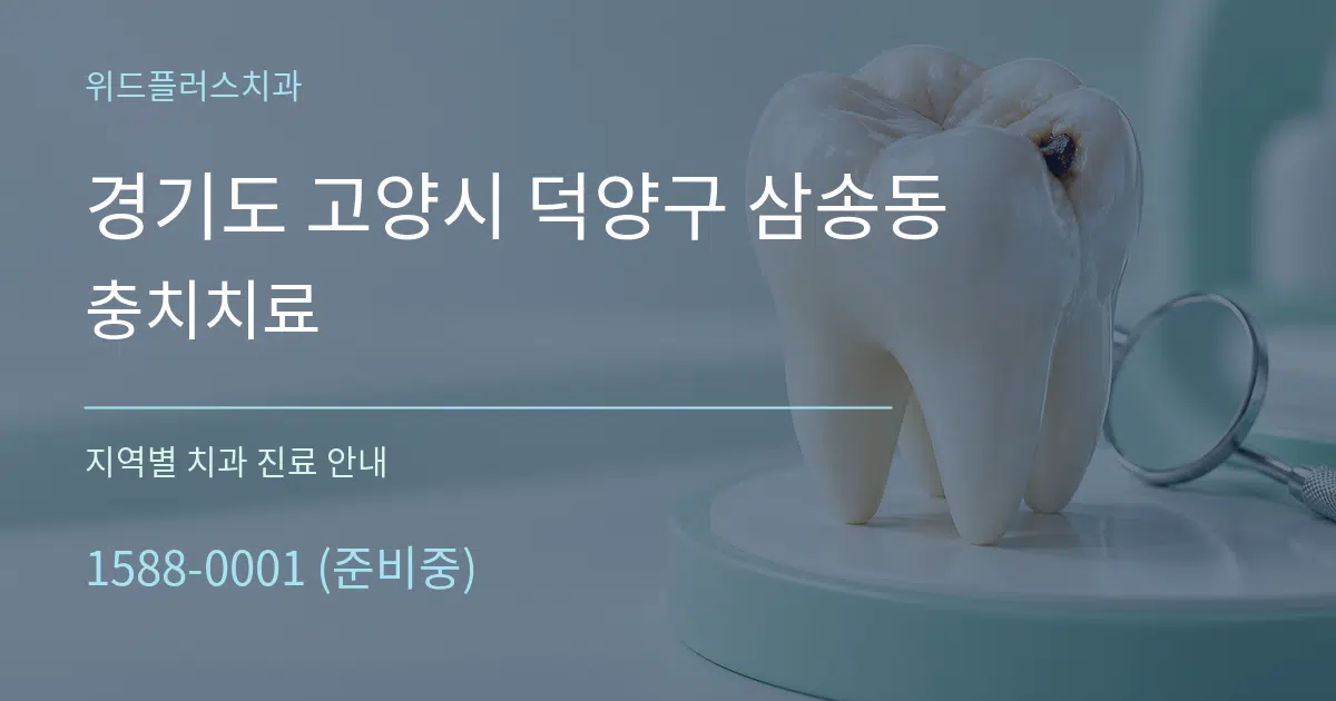 경기도 고양시 덕양구 삼송동 충치치료 대표 안내 그래픽