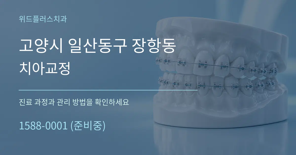 고양시 일산동구 장항동 치아교정 작업 조건 안내 그래픽